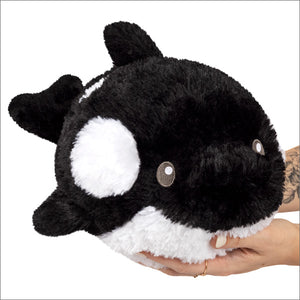 Mini Squishable Orca - Sweets and Geeks