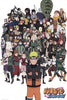 Naruto Shippuden Group Poster