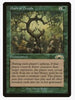 Oath of Druids - Exodus - Sweets and Geeks