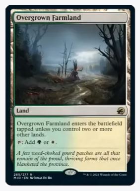 Overgrown Farmland - Innistrad: Midnight Hunt - #265 – Sweets and