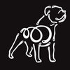 K-Lines: Pit Bull