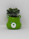 Care Bears Good Luck Bear Ceramic Mini Planter