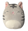 Squishmallows: Tally the Cat 5"