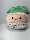 Squishmallow - Abena the Adorable Succulent 10”
