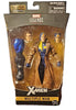 Marvel Legends Series: X-Men - Multiple Man