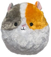 Squishmallows - Everett the Guinea Pig 12"