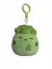 Squishmallows - Anara the Asparagus 3.5"