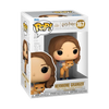 Funko Pop! Harry Potter - Hermione Granger #167