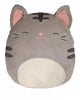 (NO TAG) Squishmallows - Tally the Tabby Cat 4.5"