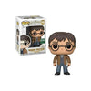 Funko Pop! Harry Potter - Harry Potter (Two Wands) #118