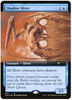 Shadow Sliver (Extended Art) (Foil) - Secret Lair Drop Series - #624
