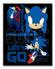 Sonic-Let's Go! Metal Sign - Sweets and Geeks