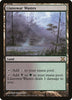 Llanowar Wastes - 10th Edition #355/383