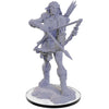 Pathfinder Deep Cuts Unpainted Miniatures: W22 Wood Giant