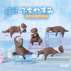 Playful Hanging Small Clawed Otter - Blind Box (SNG10)