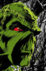 Absolute Swamp Thing By Len Wein and Bernie Wrightson HC - Sweets and Geeks
