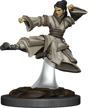 Dungeons & Dragons Fantasy Miniatures: Icons of the Realms Premium Figures W6 Human Monk Female (May 2021 Preorder) - Sweets and Geeks
