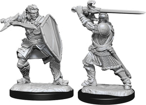 Dungeons & Dragons Nolzur's Marvelous Unpainted Miniatures: W14 Human Paladin Male (April 2021 Preorder) - Sweets and Geeks