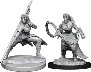 Dungeons & Dragons Nolzur's Marvelous Unpainted Miniatures: W14 Human Monk Female (April 2021 Preorder) - Sweets and Geeks