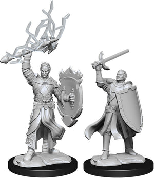 Dungeons & Dragons Nolzur's Marvelous Unpainted Miniatures: W14 Half-Elf Paladin Male (April 2021 Preorder) - Sweets and Geeks