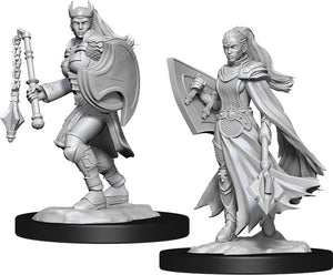 Dungeons & Dragons Nolzur's Marvelous Unpainted Miniatures: W14 Kalashtar Cleric Female (April 2021 Preorder) - Sweets and Geeks