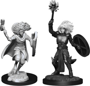 Dungeons & Dragons Nolzur's Marvelous Unpainted Miniatures: W14 Changeling Cleric Male (April 2021 Preorder) - Sweets and Geeks