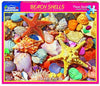 Beach Shells 550 Piece Jigsaw Puzzle - Sweets and Geeks
