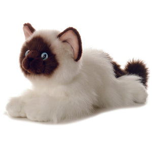 Bella the Birman Cat 12" Plush - Sweets and Geeks