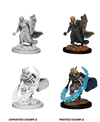 Dungeons & Dragons Fantasy Miniatures: Icons of the Realms W5 Elf Male Cleric - Sweets and Geeks