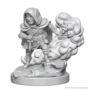 Dungeons & Dragons Nolzur`s Marvelous Unpainted Miniatures: W1 Halfling Male Rogue - Sweets and Geeks