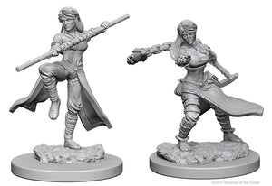 Dungeons & Dragons Nolzur`s Marvelous Unpainted Miniatures: W1 Human Female Monk - Sweets and Geeks