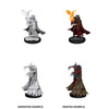 Pathfinder Deep Cuts Unpainted Miniatures: W12 Cultist & Devil - Sweets and Geeks