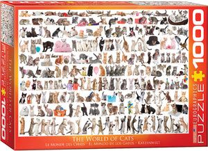The World of Cats - Sweets and Geeks