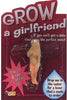 Grow a Girlfriend - Sweets and Geeks