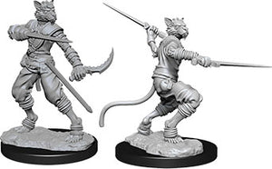 Dungeons & Dragons Nolzur`s Marvelous Unpainted Miniatures: W7 Tabaxi Male Rogue - Sweets and Geeks