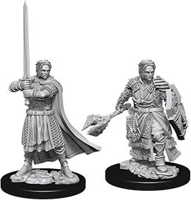 Dungeons & Dragons Nolzur`s Marvelous Unpainted Miniatures: W8 Male Human Cleric - Sweets and Geeks