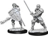Dungeons & Dragons Nolzur`s Marvelous Unpainted Miniatures: W8 Male Human Fighter - Sweets and Geeks