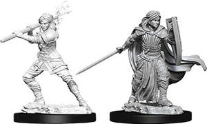 Dungeons & Dragons Nolzur`s Marvelous Unpainted Miniatures: W10 Female Human Paladin - Sweets and Geeks