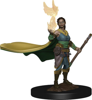 Dungeons & Dragons Icons of the Realms Premium Figures: W1 Elf Female Druid - Sweets and Geeks