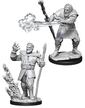 Dungeons & Dragons Nolzur`s Marvelous Unpainted Miniatures: W11 Male Firbolg Druid - Sweets and Geeks