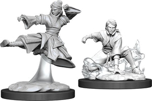 Dungeons & Dragons Nolzur`s Marvelous Unpainted Miniatures: W11 Female Human Monk - Sweets and Geeks
