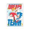 Sonic Dream Team Magnet - Sweets and Geeks