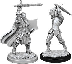 Dungeons & Dragons Nolzur`s Marvelous Unpainted Miniatures: W12 Male Human Paladin - Sweets and Geeks