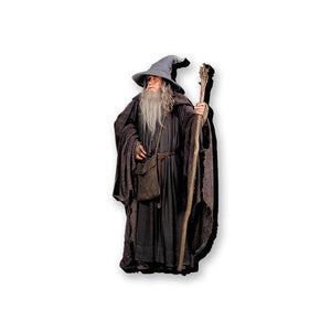 Lord of the Rings - Gandalf Funky Chunky Magnet - Sweets and Geeks