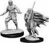 Pathfinder Deep Cuts Unpainted Miniatures: W10 Male Elf Rogue - Sweets and Geeks