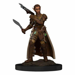 D&D: Icons of the Realms - W7 Female Shifter Rogue - Sweets and Geeks