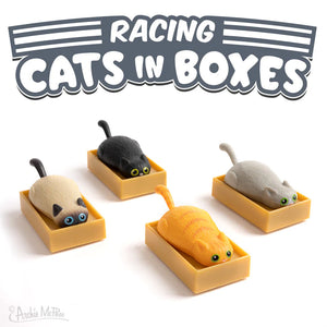 Racing Cats in Boxes - Sweets and Geeks