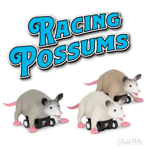 Racing Possums - Sweets and Geeks