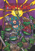 Teenage Mutant Ninja Turtles: The Ultimate Collection Vol. 6 - Sweets and Geeks