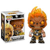 Funko Pop! Mortal Kombat X - Scorpion (Flaming Skull) #255 - Sweets and Geeks